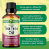 Spring Valley 100% Pure Australian Tea Tree Oil; 2 fl oz EasyOptionXY LLC