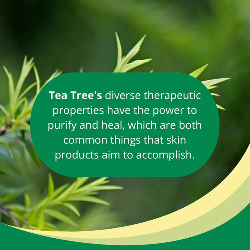 Spring Valley 100% Pure Australian Tea Tree Oil; 2 fl oz EasyOptionXY LLC