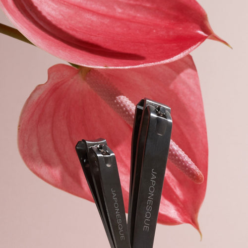 Japonesque Stainless Steel Silver Fingernail and Toenail Clippers 2 Piece EasyOptionXY LLC