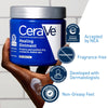 CeraVe Healing Ointment for Face & Body, Protects and Soothes Dry, Cracked, & Chafed Skin 12 oz EasyOptionXY LLC