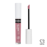 COVERGIRL Outlast Ulti-Matte One Step Liquid Lip Color, Rose, 0.11 oz EasyOptionXY LLC