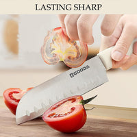 Knife Set for Kitchen, 5-Pieces White Cooking Knife Set with Storage Knife Holder, Sharp Stainless Steel Knife Block Set for Cutting Slicing Dicing Chopping EasyOptionXY LLC