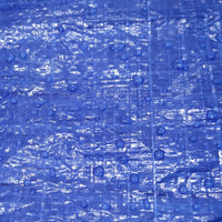 Hyper Tough Weather Resistant Light Duty 6 x 8' Polyethylene Tarp EasyOptionXY LLC
