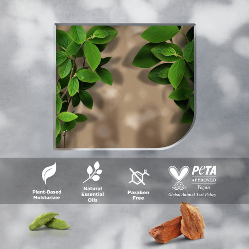 Dove Men+Care Antiperspirant Deodorant Dry Spray, Cedarwood and Tonka, 3.8 oz EasyOptionXY LLC