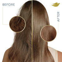 Dove Intensive Repair for Damaged Hair Daily Conditioner with Bio-Restore Complex, 31 oz EasyOptionXY LLC