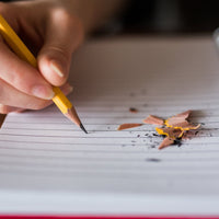 Ticonderoga Pencils #2 Soft Yellow Woodcase Graphite Pencil for School Supplies and Craft Supplies 12 Count (13882) Free Sharpener 1 Pack EasyOptionXY LLC