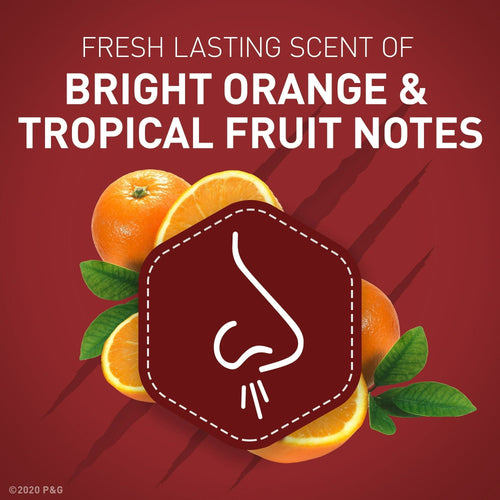 Old Spice Aluminum Free Deodorant for Men, Wolfthorn, 48 Hr. Protection, 3.8 oz EasyOptionXY LLC