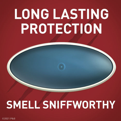 Old Spice Aluminum Free Deodorant for Men, Wolfthorn, 48 Hr. Protection, 3.8 oz EasyOptionXY LLC