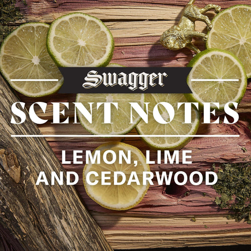 Old Spice Men's 2 in 1 Shampoo and Conditioner, All Hair Types, Swagger, 13.5 fl oz EasyOptionXY LLC