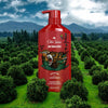 Old Spice Bear Glove 2in1 Shampoo and Conditioner for Men, All Hair Types, 22 fl oz EasyOptionXY LLC
