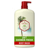 Old Spice Body Wash for Men, Fiji with Palm Tree, 30 fl oz EasyOptionXY LLC