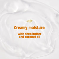 Dove Hair Love Daily Nourishing Conditioner Curly Hair with Shea Butter, Coconut Cookie, 17.5 fl oz EasyOptionXY LLC