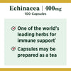 Nature's Bounty Echinacea Whole Herb Capsules; 400 mg; 100 Count EasyOptionXY LLC