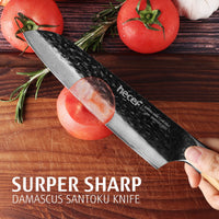 Hecef 7-Inch Japanese Santoku Knife, Forged 67-Layer Damascus Steel Ultra Sharp Kitchen Knife EasyOptionXY LLC