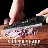 Hecef 7-Inch Japanese Santoku Knife, Forged 67-Layer Damascus Steel Ultra Sharp Kitchen Knife EasyOptionXY LLC