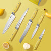 Hecef Knife Set, 5 Pieces Kitchen Knives with Universal Knife Block, Stainless Steel Blade with Triple-Rivets PP Handle EasyOptionXY LLC