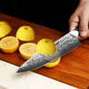 Hecef Chef Knife, 8 inch Japanese Damascus Steel Kitchen Knife, Professional Extra Sharp VG10 Knife EasyOptionXY LLC
