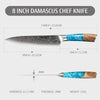 Hecef 8 inch Chef Knife, with 67-Layers Japanese Damascus Steel and Resin Handle EasyOptionXY LLC