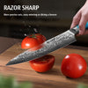 Hecef 8 inch Chef Knife, with 67-Layers Japanese Damascus Steel and Resin Handle EasyOptionXY LLC