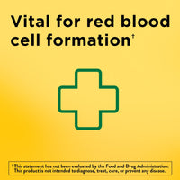 Nature Made Iron 65 mg (325 mg Ferrous Sulfate) Tablets; Dietary Supplement; 190 Count EasyOptionXY LLC