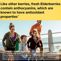Nature Made Elderberry with Vitamin C and Zinc Gummies; Dietary Supplement; 60 Count EasyOptionXY LLC