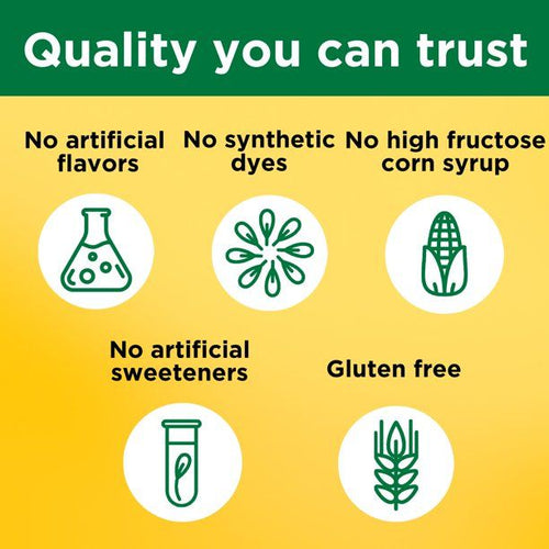 Nature Made Iron with Vitamin C Gummies; 70 Count EasyOptionXY LLC