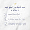 Dove Care & Protect Conditioner Purify & Hydrate, 12 oz EasyOptionXY LLC