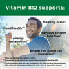 Nature Made Vitamin B12 1000 mcg Softgels; Dietary Supplement; 270 Count EasyOptionXY LLC