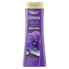 Caress Body Wash for Women, Black Orchid & Patchouli Oil Shower Gel for Dry Skin 20 fl oz EasyOptionXY LLC