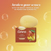 Caress Bar Soap for Women, Mango & Almond Oil for All Skin 3.75 oz 4 Body Bath Bars EasyOptionXY LLC