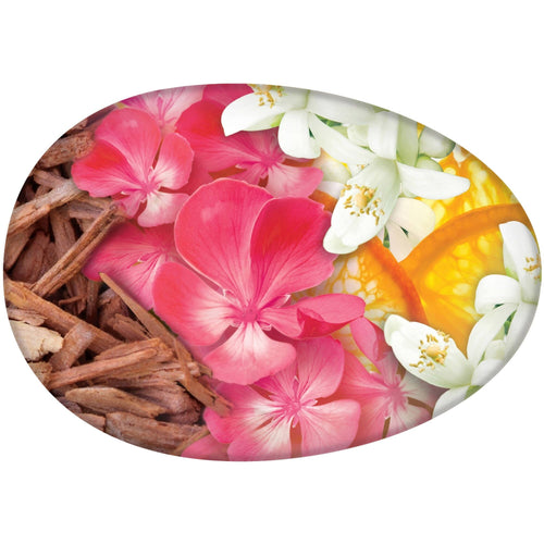 Caress Beauty Bar Daily Silk, 3.15 oz, 6 Bar (Packaging May Vary) EasyOptionXY LLC