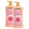 Caress Daily Silk Hydrating Body Wash Peach and Orange Blossom 30 Fl Oz (2 Pk) EasyOptionXY LLC