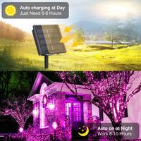 72 FT 200 LED Solar String Lights, Outdoor Solar Christmas Lights, Waterproof Solar Fairy Lights for Garden, Fence, Party Decorations, Pink EasyOptionXY LLC
