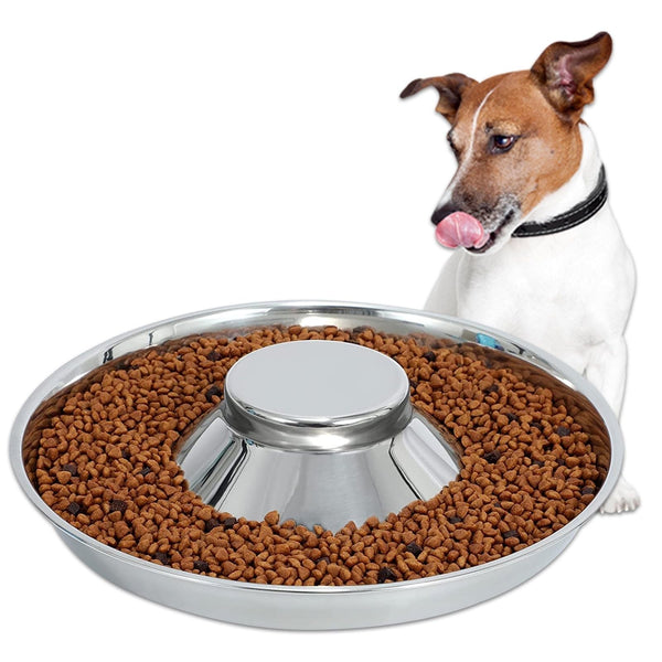 Puppy Feeder Bowl, Stainless Steel Dog Bowls for Puppy, Food Feeding Weaning Bowl for Small Dogs Cats Pets (Small Size, 10.23 Inch) EasyOptionXY LLC