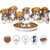 Puppy Feeder Bowl, Stainless Steel Dog Bowls for Puppy, Food Feeding Weaning Bowl for Small Dogs Cats Pets (Small Size, 10.23 Inch) EasyOptionXY LLC