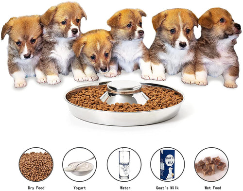 Puppy Feeder Bowl, Stainless Steel Dog Bowls for Puppy, Food Feeding Weaning Bowl for Small Medium Large Dogs (Large Size, 13.4 Inch) EasyOptionXY LLC