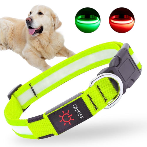 LED Dog Collar, USB Rechargeable Light Up Dog Collar, Adjustable Safety Glowing Collar for Dogs (Green, S Size) EasyOptionXY LLC