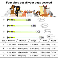 LED Dog Collar, USB Rechargeable Light Up Dog Collar, Adjustable Safety Glowing Collar for Dogs (Green, S Size) EasyOptionXY LLC
