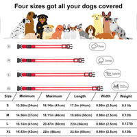 LED Dog Collar, USB Rechargeable Light Up Dog Collar, Adjustable Safety Glowing Collar for Dogs (Red, Medium) EasyOptionXY LLC