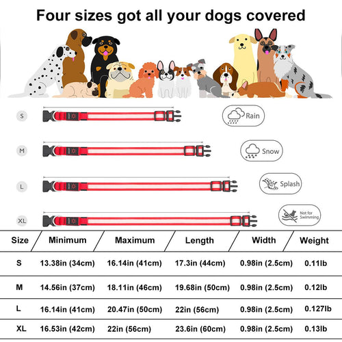 LED Dog Collar, USB Rechargeable Light Up Dog Collar, Adjustable Safety Glowing Collar for Dogs (Red, Medium) EasyOptionXY LLC