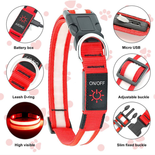 LED Dog Collar, USB Rechargeable Light Up Dog Collar, Adjustable Safety Glowing Collar for Dogs (Red, Medium) EasyOptionXY LLC