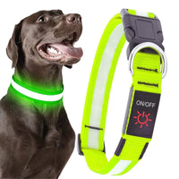 LED Dog Collar, USB Rechargeable Light Up Dog Collar, Adjustable Safety Glowing Collar for Dogs (Green, XL Size) EasyOptionXY LLC