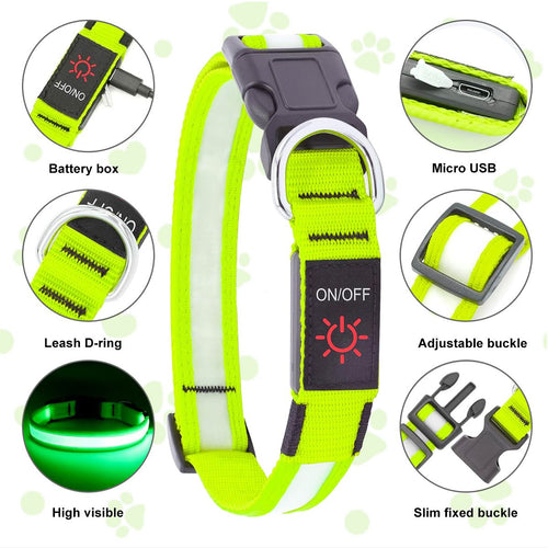LED Dog Collar, USB Rechargeable Light Up Dog Collar, Adjustable Safety Glowing Collar for Dogs (Green, XL Size) EasyOptionXY LLC