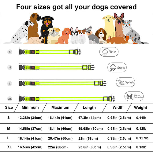 LED Dog Collar, USB Rechargeable Light Up Dog Collar, Adjustable Safety Glowing Collar for Dogs (Green, Medium) EasyOptionXY LLC
