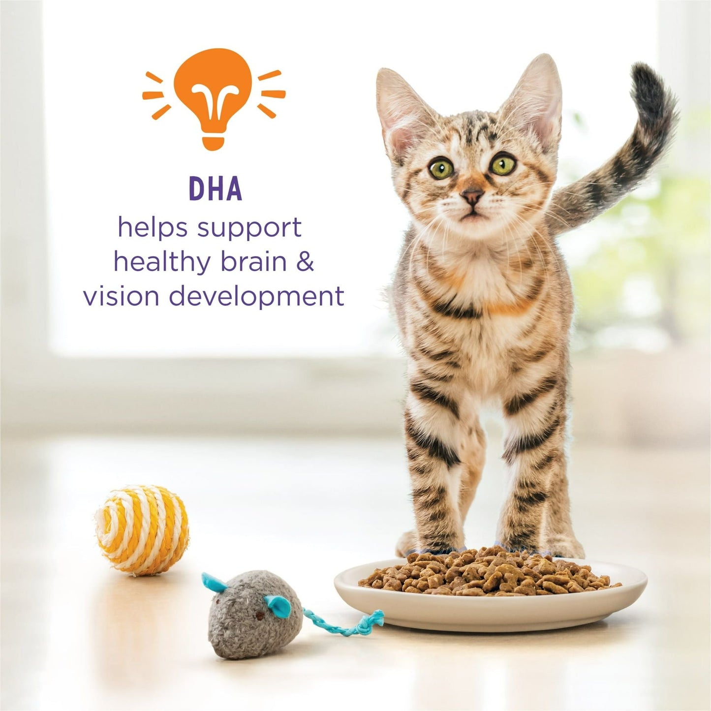 Purina Kitten ChowHealthy Development, Indoor Dry Kitten Food, Chicken, 14 lb Bag EasyOptionXY LLC