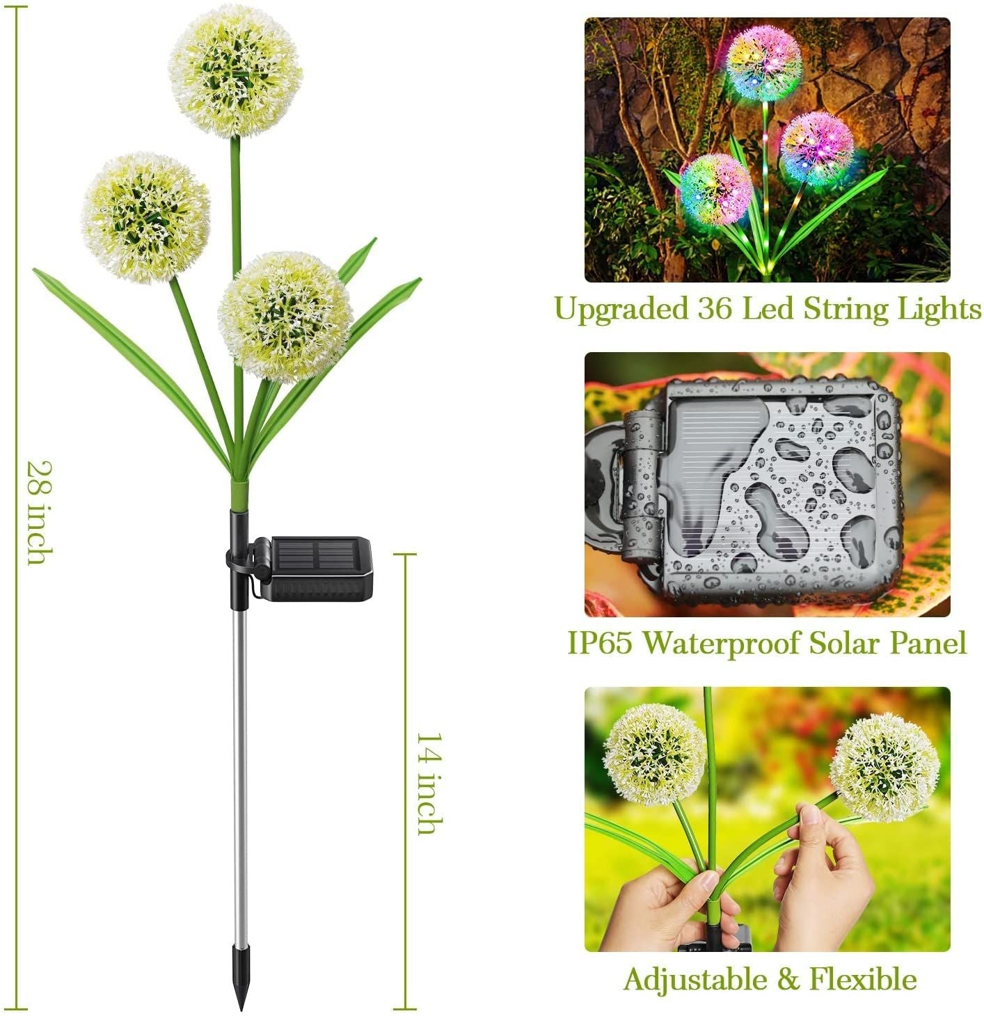 36 LED Waterproof Dandelion Garden String Lights, 2 Pack Outdoor Solar Lights Decorative for Walkway Pathway Backyard Christmas Decoration EasyOptionXY LLC