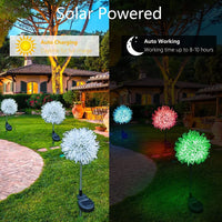 LED Solar Dandelion Ground Light, Outdoor Waterproof Solar Powered Garden Landscape Decorative Lights for Yard Lawn Patio Walkway Backyard, 4 Pack EasyOptionXY LLC