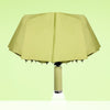 Automatic Folding Umbrella with LED Flashlight Handle, Travel Umbrella with 10 Ribs, Compact Umbrella for Kids Adults (Green) EasyOptionXY LLC