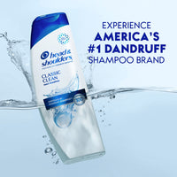Head and Shoulders Dandruff Shampoo; Classic Clean; 20.7 oz EasyOptionXY LLC