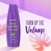 Aussie Miracle Volume for Fine Hair Daily Shampoo; 12.1 fl oz EasyOptionXY LLC